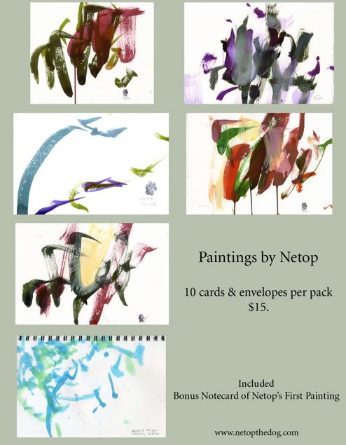 Netop Greeting Cards