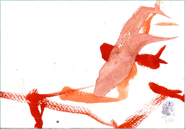 Pink Dolphins of the Amazon