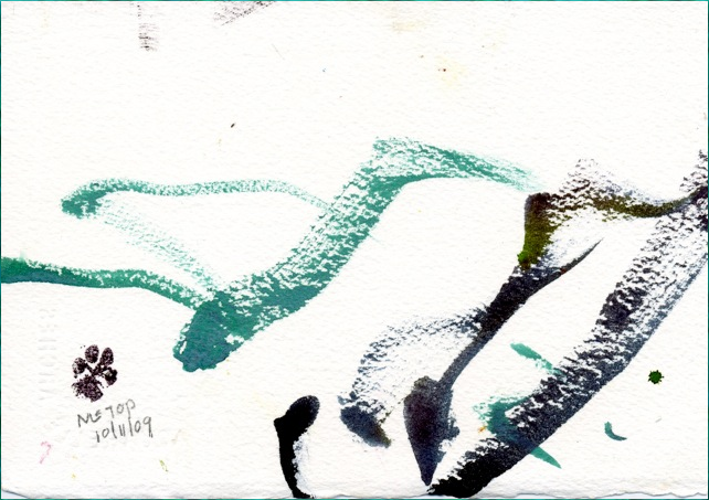 Year of the Armadillo